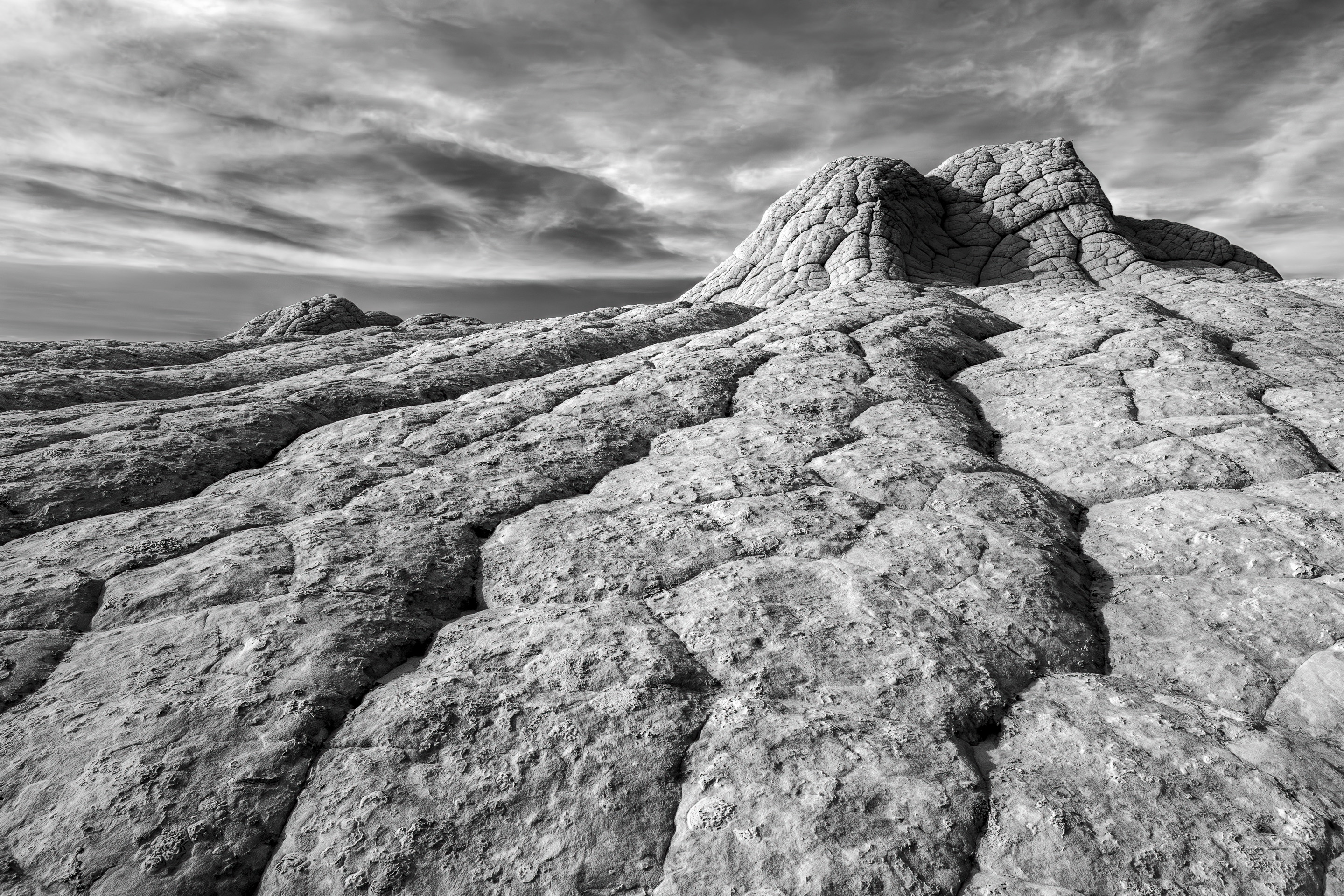 1st PrizeOpen Mono In Class 3 By Bill Crnkovich For Rugged Beauty DEC-2024.jpg